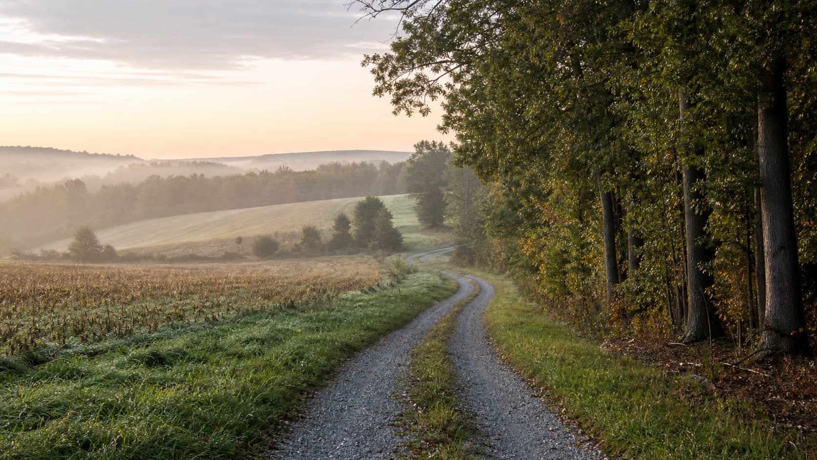 Private farm road between woods and fields for a local hunting lease guide